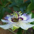 IMGP6764_1.JPG