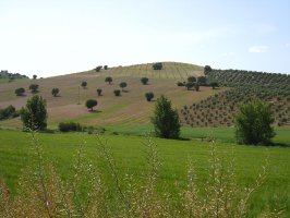 img_4518.jpg