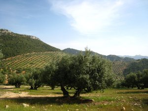 img_4615.jpg