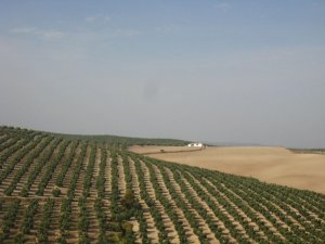 img_4628.jpg