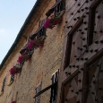 imgp6481_1.jpg