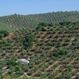iznajar_10.jpg