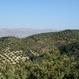 iznajar_12.jpg