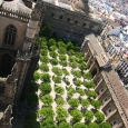 sevilla_03.jpg