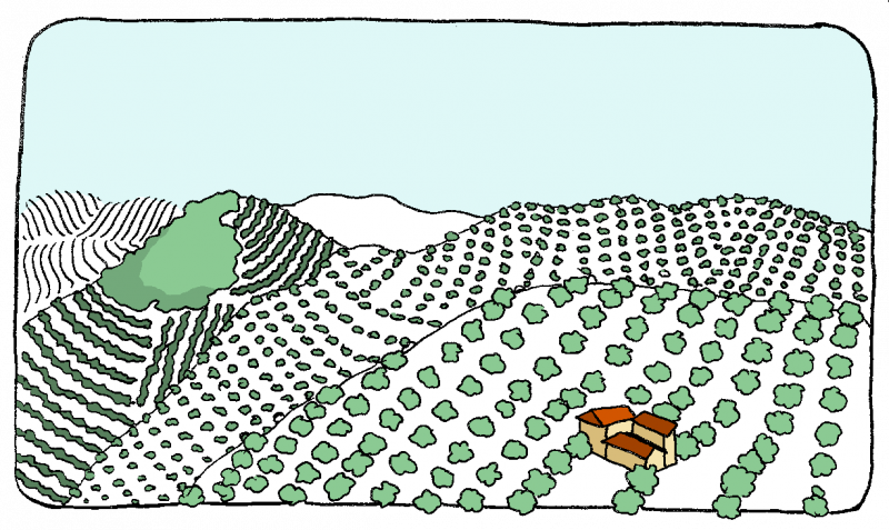 iznajar2